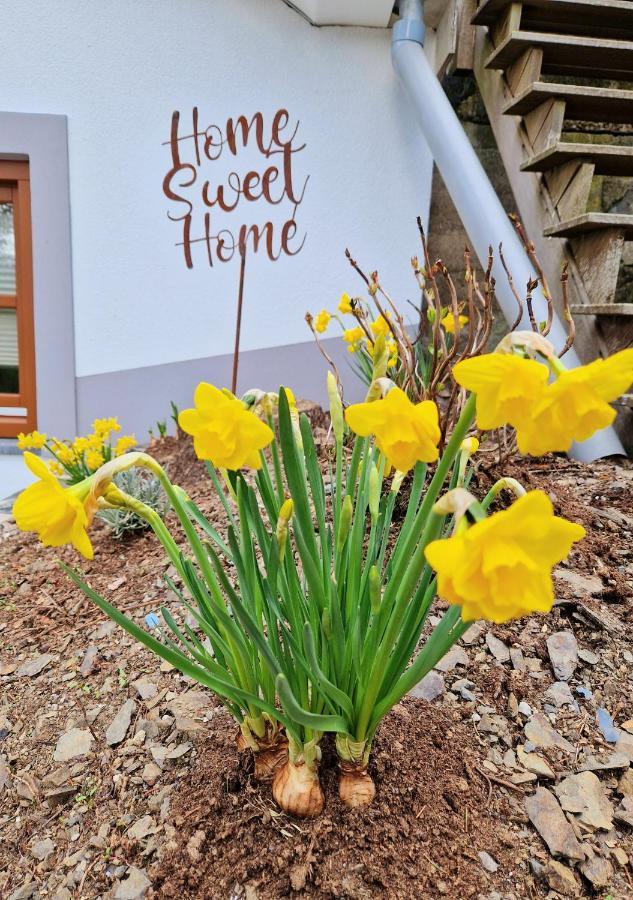Daffodils Villa Enscherange Bagian luar foto